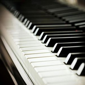 free嫩白的12sex性摘花
